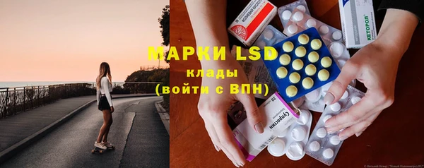 трава Белокуриха