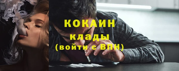 трава Белокуриха