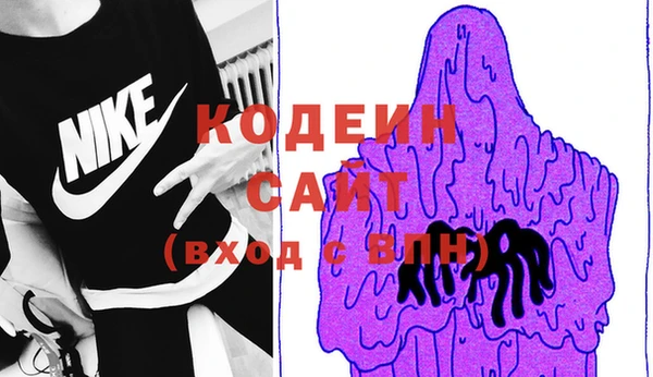 трава Белокуриха