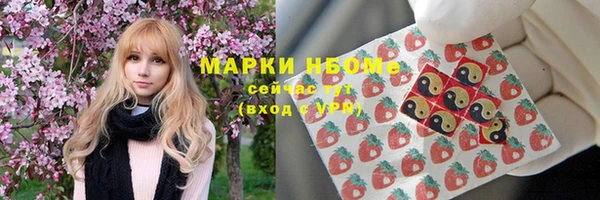 трава Белокуриха