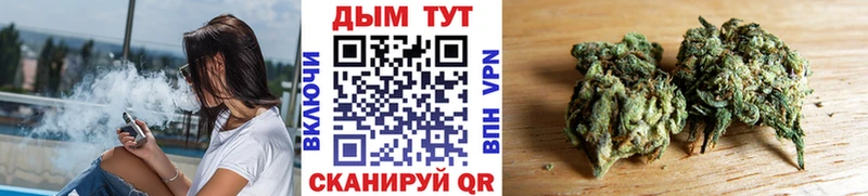 где можно купить наркотик  мориарти какой сайт  Каннабис сатива  Лыткарино 
